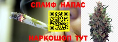 spice Бузулук