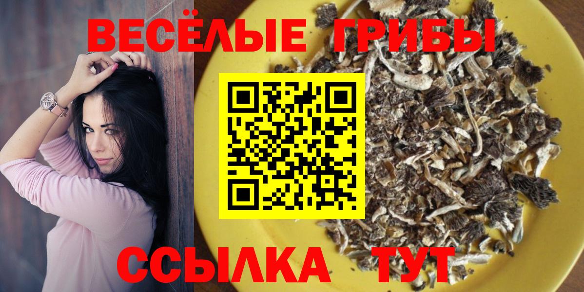 Радужный  Галлюциногенные грибы Cubensis  Псилоцибиновые грибы MAGIC MUSHROOMS  Вход с VPN 